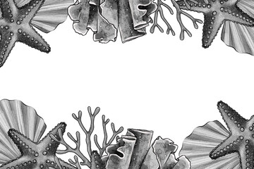 Watercolor raster border with starfish, coral and seashells on white background Marine decorative illustration for summer invitations, packaging, cards, posters, nautical themes and beach party design © Alona
