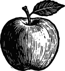 Engraved Apple with Leaf and Stem Black and White Illustration Detailed Lines Isolated on White Background