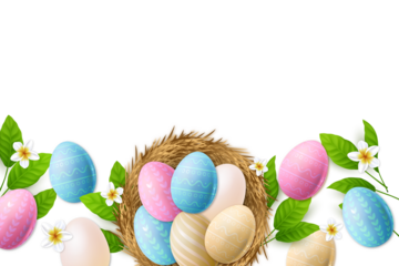 Colorful easter eggs nestled in a rustic straw nest with fresh green leaves and delicate white flowers isolated on transparent background