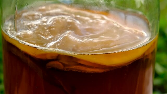 Kombucha in a jar at home. Selective focus.