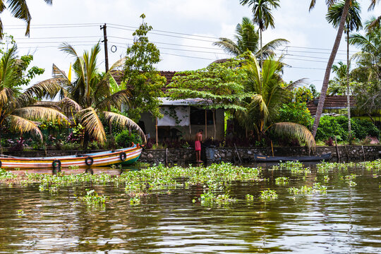 Kochi, India - 09.27.2025: Kerala Backwaters