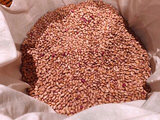 Organic Pinto Beans in Cloth Sack &ndash; Dry Legumes Background