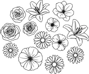 Fototapeta premium Set of different flower linens on a white background.