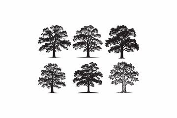 Shagbark Hickory set nature tree vector silhouettes black image.