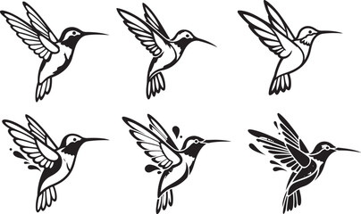 Fototapeta premium Five black and white hummingbird in flight nature