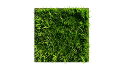 Overhead shot of a square patch of vibrant green grass on a solid black background