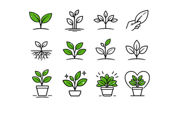 Indoor overall leaf plant root green icon vector healthy growth vitality steady