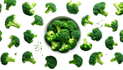Arrangement of broccoli florets; a bowl in the center overflows with the green vegetable