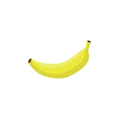 Fresh Detailed Hand Drawn Banana Vector Illustration