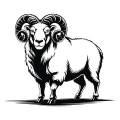 ram