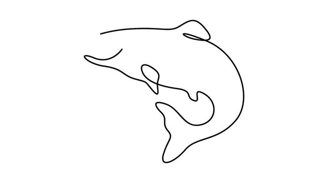 Self animated single minimalist line art illustration of an orca, also known as a killer whale
