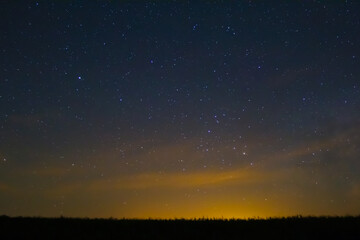 Fototapeta premium night starry sky above the forest silhouette
