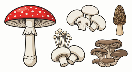 vector illustration of a mushroom