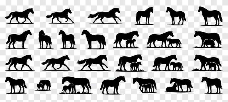 Minimalist vector illustration featuring a large collection of black horse silhouettes in diverse poses, including standing, walking, resting, and mare-with-foal scenes. Clean solid shapes with smooth