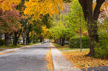 Quiet residential street lined with colorful autumn trees and fallen leaves. Peaceful neighborhood scene with fall foliage, ideal for seasonal, lifestyle, and urban nature concepts.
