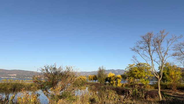 Autumn lakeside landscape with trees, blue sky and distant mountains - Powered by Adobe