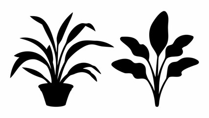 Two distinct black plant silhouettes, one potted and the other a standalone leafy stem, are presented on a white background.