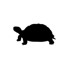 Tortoise silhouette vector flat illustration design.