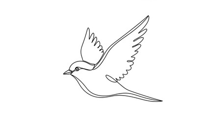 Obraz premium Bird in flight minimalist line art illustration with outstretched wings and dynamic movement
