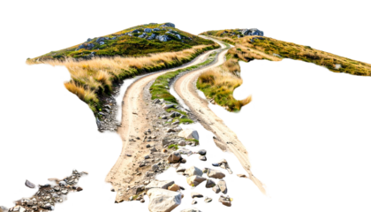 An image of a dirt road winding through a grassy hillside with scattered rocks