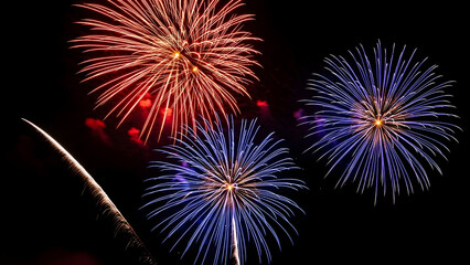Obraz premium Vibrant fireworks display at night