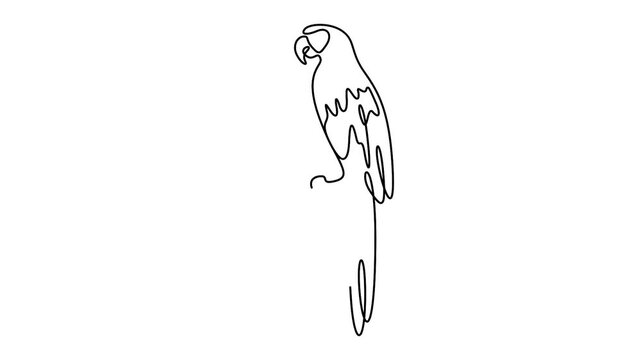 Self animated minimalist one-continuous-line drawing of a parrot, likely a macaw, perched on a branch