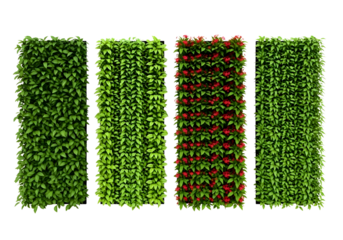 Four different types of green leafy plant panels isolated on transparent background