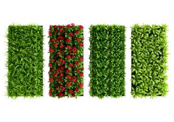 Four different types of green leafy plant panels isolated on transparent background