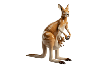 Kangaroo with joey in warm natural lighting on white background for wildlife conservation