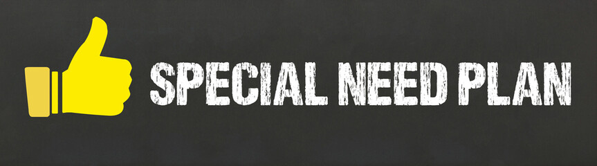 Special need plan
