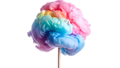 A rainbow-colored, puffy confection resembling a brain on a wooden stick against a black backdrop