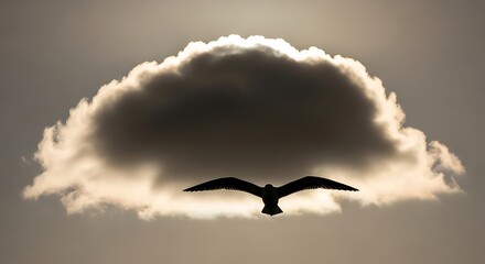 Silhouette of a bird flying in front of a cloud formation.