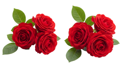 Two bouquets of red roses isolated on transparent background