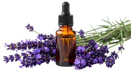 Amber bottle with dropper, purple lavender sprigs on either side, black background