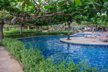 Cozy swimming pool area with turquoise water under the canopy of spreading tropical trees modern sunbeds on the terrace of a luxury resort hotel for summer vacation and relaxation.