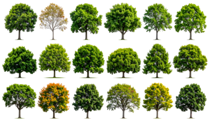 A grid of 18 different leafy trees with varying shapes, sizes, and colors
