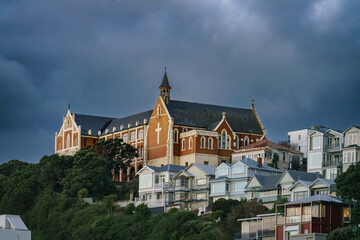 Fototapeta premium Residential and urban architecture in New Zealand featuring colorful houses, hillside neighborhoods, historic and art deco buildings, cafes, and modern apartments in natural daylight.