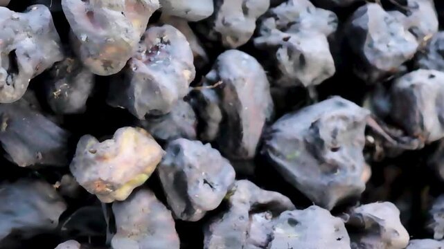 Fresh water chestnuts in market display