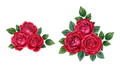 Vibrant watercolor illustration of red roses with lush green leaves on a black background isolated on transparent background