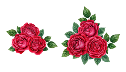 Vibrant watercolor illustration of red roses with lush green leaves on a black background isolated on transparent background