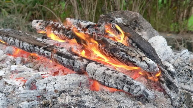 fire in the garden, Java, Indonesia, South East Asia