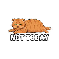 PNG. isolated transparent background.&nbsp;Cute orange cat with grumpy face and Not Today text