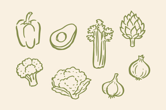 Vegetable set avocado pepper celery broccoli artichoke doodle vector