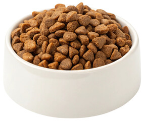 dry dog food in white bowl