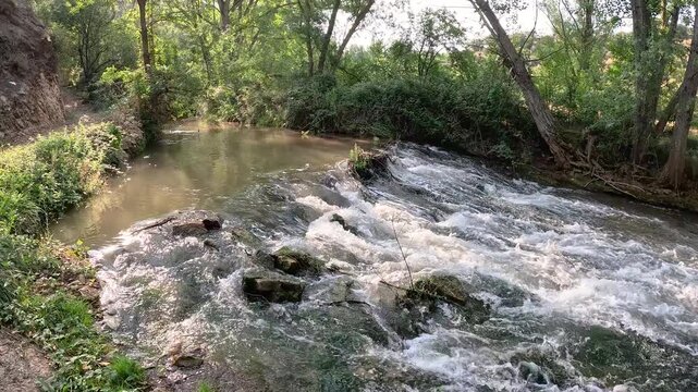 Jiloca river between Murero and Villafeliche, comarca of Campo de Daroca, province of Zaragoza, Aragon, Spain