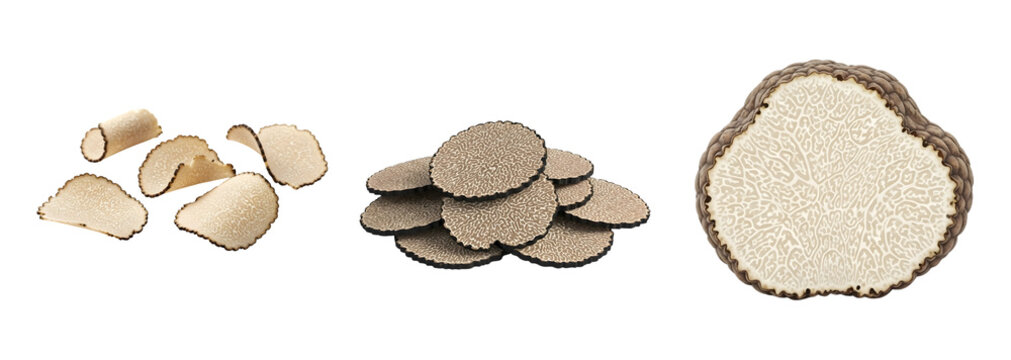 Fresh slices of black truffle laid out on a white background with a whole truffle on the right side