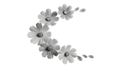 Elegant arrangement of monochrome flowers forming a crescent shape against a transparent background