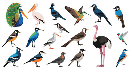 Fototapeta premium Big collection of various bird species from around the world including a peacock pelican ostrich and many other birds.