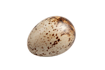Speckled Bird Egg with Brown Spots on Black Background image, Png, Isolated on Transparent Background, Cut Out