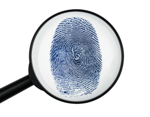 Blue fingerprint seen through a magnifying glass